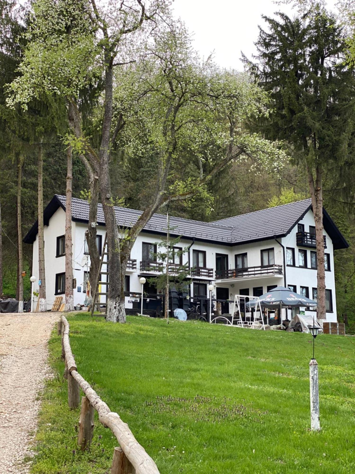 Starite Borove Villa Sinagovtsi Exteriör bild